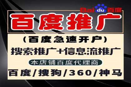 从零到一：企业如何通过百度竞价实现快速增长？——以某公司为例